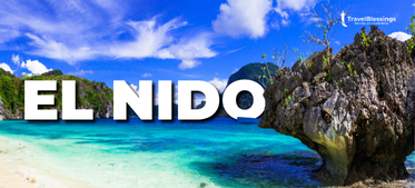 2.  373 x 169 Part 2 El nido