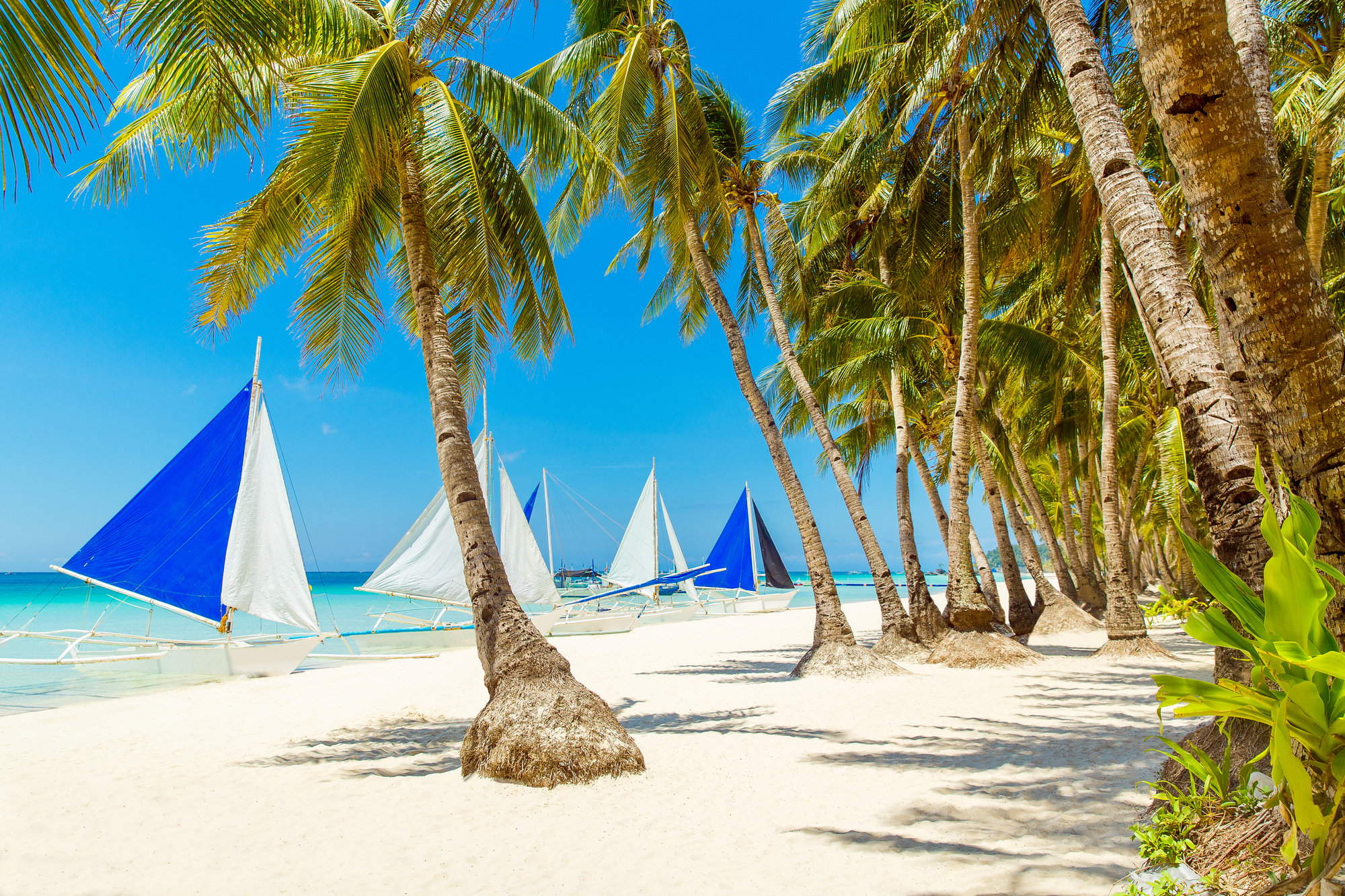 Boracay by Travel Blessings (54)